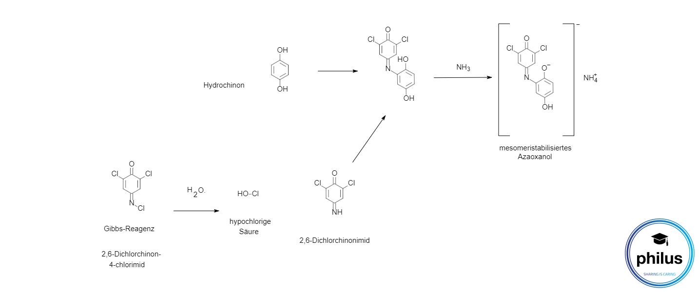 Hydrochinon-Nachweis mit Gibbs-Reagenz
