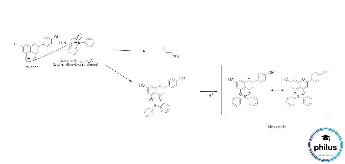 Reaktion von Flavanonen mit Naturstoffreagenz A (DC-Besprühung)
